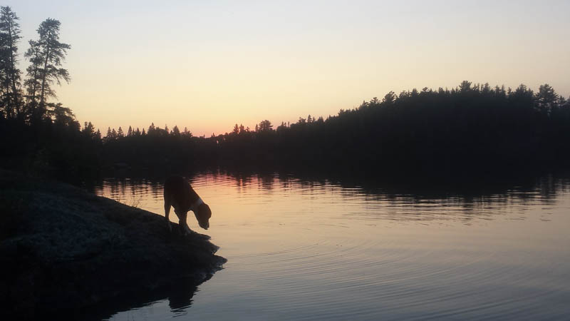 Bear Lake Campground Mn