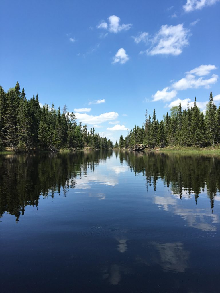 Moose Trout 