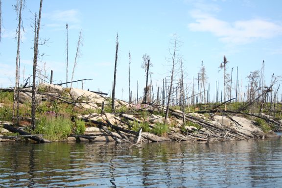 CavityLakeburnarea8_15_2008.jpg