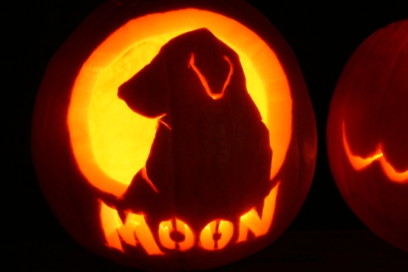 Moonpumpkin10_19_2009.jpg