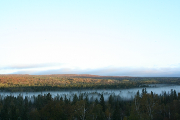 Riverfog10_7_2009.jpg