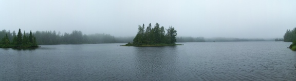 SawbillFog7_28_10.JPG