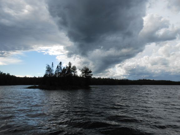 ShelfCloud8_6_13.jpg