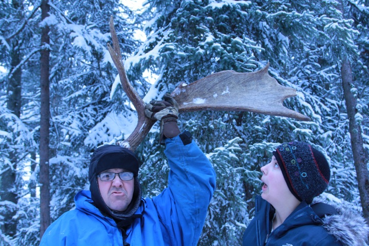 antler1_31_12.JPG