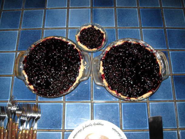 blueberrypieone8_17_09.jpg