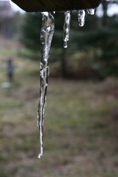 icicle_10_30_08.jpg