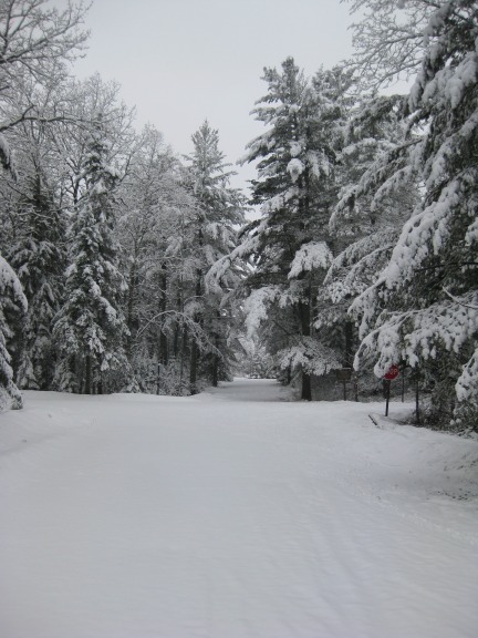 snowa4_23_2011.jpg