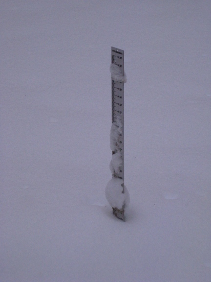 snowgauge1_26_10.jpg