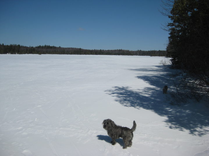 snowlake3_6_09.jpg