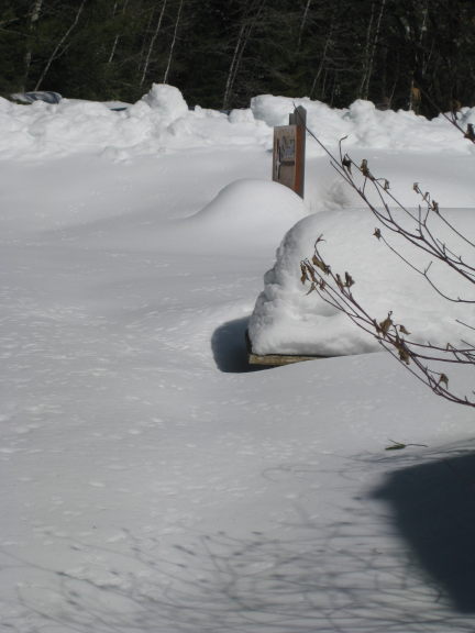 snowtable3_6_09.jpg