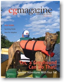 Canoeing greyhound