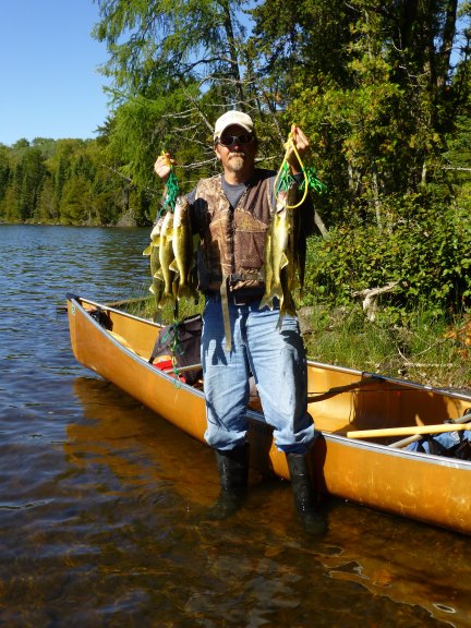 walleyes11_21_14.jpg